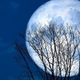 Prihaja polna luna: astrologinja Lenka razkriva, kaj nas čaka