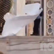Kaos v baziliki svetega Petra: moški uničeval oltar in podrl dragocene svečnike (VIDEO)