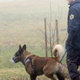 Policija preklicala iskanje pogrešanega 14-letnika