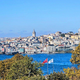 Kralji istanbulskih ulic