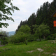 Potrjena ugibanja glede motiva za umor 70-letnega soseda (FOTO)