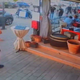 V javnosti še en posnetek surovega pretepanja! So ga napadli, ker je navijač tega kluba? (VIDEO)