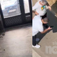 Posnetki, ki niso za občutljive: mesto oblegajo kače, občani v paniki kličejo na pomoč (VIDEO)