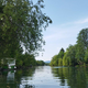 Po divjini Ljubljanskega barja