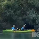 Robert Golob s sinom veslal po Ljubljanici, kamere vse posnele (VIDEO)