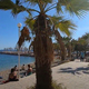 Spet neokusni prizori na plaži: »Sedi pod drevesom in masturbira pred mimoidočimi!« (VIDEO)