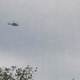 Nad Ljubljano velika iskalna akcija, s helikopterjem iščejo gospo Bredo