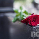 Srce parajoča tragedija: nagrobnik pokopal 4-letnega Elija