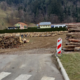 Največja dražba lesa v Sloveniji: prvi hlodi že čakajo kupce