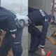 Slovenjgraška policista pasjega lumpa zvabila s ceste, Slovenci navdušeni: »Počutil se je kot Komisar Rex ... « (VIDEO)