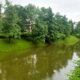 Pretresljivo v Ljubljani: poglejte, kaj so počeli otroci z mlado sovico (FOTO)