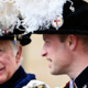 Nova vonja med kraljem Karlom in princem Williamom