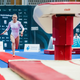 Sedem Slovencev na rekorden turnir prvakov