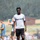 Lekarnarji branilca poslali v Italijo, namesto njega pripeljali nekdanjega člana bikov