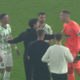 VIDEO: Mitrović in Kapun o sporu Vidovška in Raula: “Stvari se ne rešuje vročih glav!”
