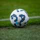 Tottenham potrdil prvo poletno okrepitev
