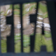 Fifa bo klubom razdelila skoraj 300 milijonov evrov