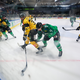 Liga ICE bogatejša za novega člana iz Italije