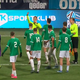 Je bila Olimpija v izdihljajih večnega derbija oškodovana? (VIDEO)