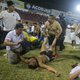 Nogometna tragedija: v stampedu navijačev več mrtvih (VIDEO)