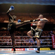 Creme de la creme: Cro Cop, Badr Hari, Bob Sapp, … (VIDEO)