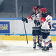 Jesenice v Ljubljani dobile, po kar so prišle