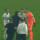 Težave v raju? Hud prepir zvezdnikov Olimpije (VIDEO)
