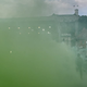 Zeleni šok za ljubljanske turiste (VIDEO)