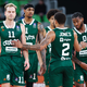 Zmaji še pred dvobojem s Krko dobili tekmeca v četrtfinalu