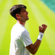 Španski as ustavil dvoboj in pomagal gledalcu v Wimbledonu (VIDEO)