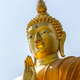 Vesak 2026: Duhovni vrhunec, ko se odprejo vrata razsvetljenja