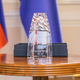 Vtis leta 2020 v roke Fundaciji Parus