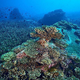 Celotno oceansko dno kartirano do leta 2030