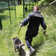 Tihotapcem so za ilegalni prevoz čez slovensko mejo morali plačati 5500 evrov po osebi