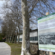 Slovenska Bistrica: Vse drevorede v mestu opremili z informacijami o zgodovini, opisi dreves