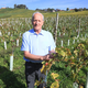 (IZ ŠTAJERCA) Pionir modernega vinogradništva iz Svečine: Z vinom moraš živeti. Dobrega boš prodal, slabega ne