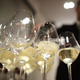 Kosovsko vino razburja hrvaške vinarje