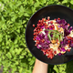 Recept: Novoletna solata z granatnim jabolkom