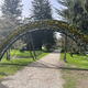 (FOTO) Mozirski gaj bodo tudi to pomlad krasili številni tulipani