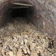 (PISMO BRALCA) Obletnica vstopa v rov sv. Barbare