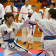 Mednarodni šotokan karate turnir za pokal Ruš