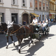 Firbcanje po Mariboru: Danes turistična atrakcija, nekoč so bili izvoščki pomembni prevozniki