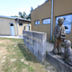 Zavetišče za živali išče veterinarja