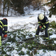 Po snegolomu lastnike gozdov pozivajo, da očistijo ceste