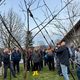 (FOTO) Sadjarsko društvo Mislinjske doline: Rez kot temelj dobre letine