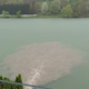(FOTO IN VIDEO) Fekalije v Dravi? Velik izliv nesnage v Mariboru