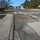 198 jaškov na 1,93 km kolesarske steze? "V Mariboru je še slabše ..."