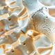 Osteopenija in osteoporoza: vse, kar morate vedeti | Vizita.si