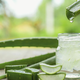 Aloe vera: naravni ključ do obvladovanja Alzheimerjeve bolezni?