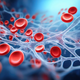 Sladkor v krvi morda ne uravnavata samo inzulin in prehrana: presenetljiva vloga rdečih krvnih celic